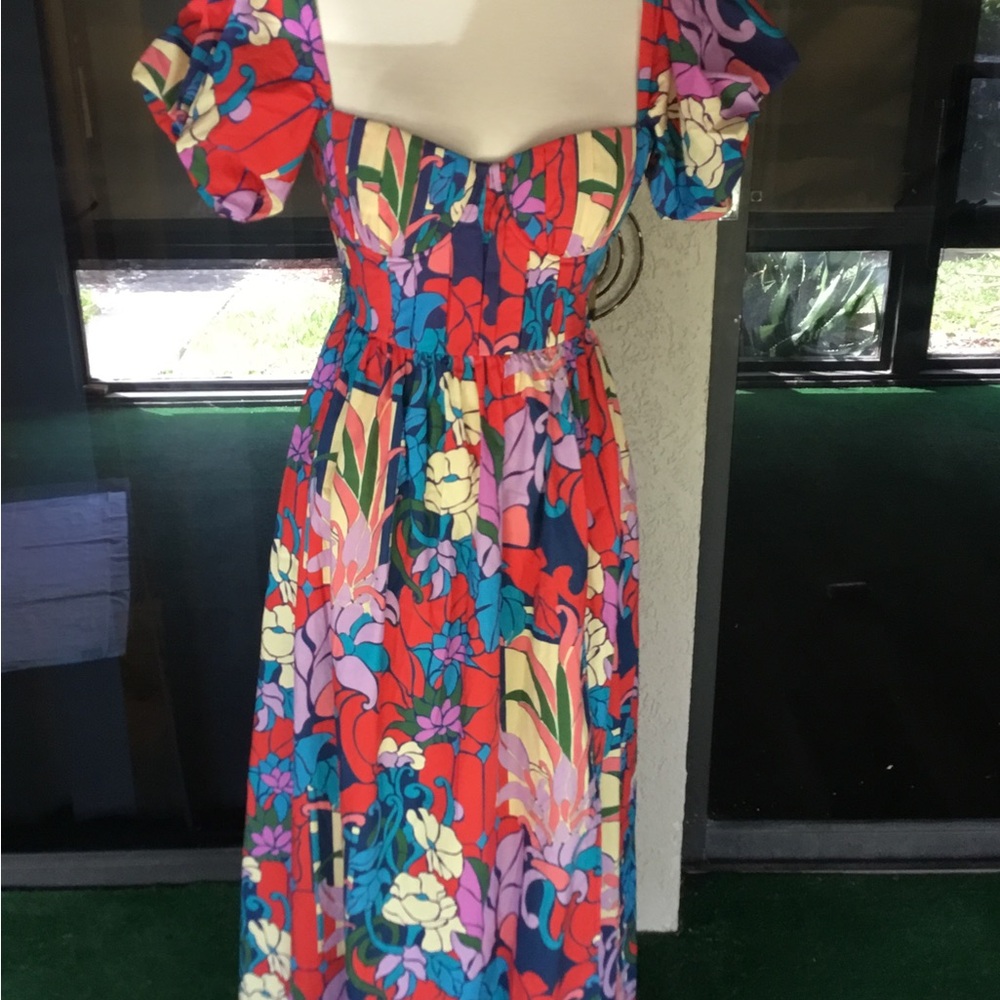 NWT Tuckernuck Climbing Cosmos Valerie Dress SZ 2 - Picture 6 of 10